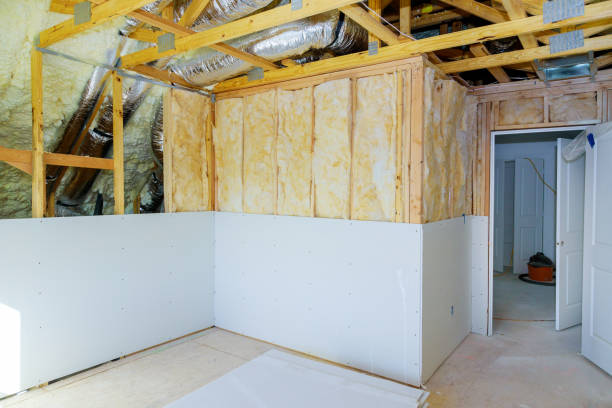 Best Insulation Maintenance and Repair in Shelbyvle, IL