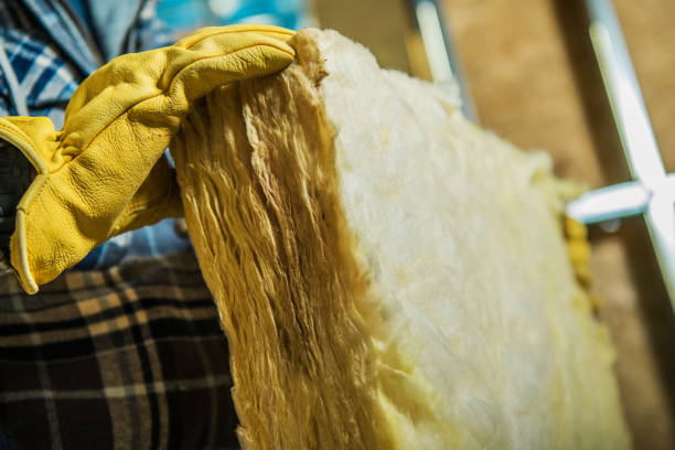 Best Specialized Insulation Services in Shelbyvle, IL