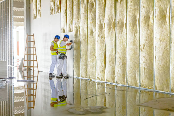 Best Energy Efficiency Insulation in Shelbyvle, IL